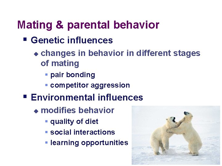 Mating & parental behavior § Genetic influences u changes in behavior in different stages Mating & parental behavior § Genetic influences u changes in behavior in different stages