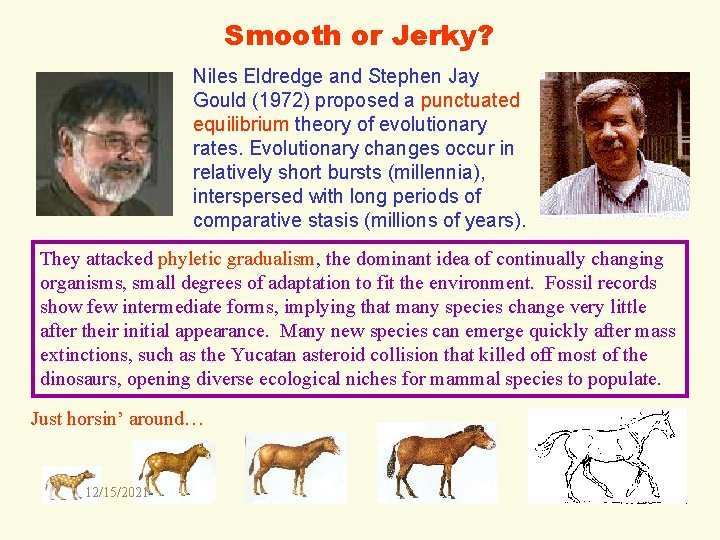 Smooth or Jerky? Niles Eldredge and Stephen Jay Gould (1972) proposed a punctuated equilibrium