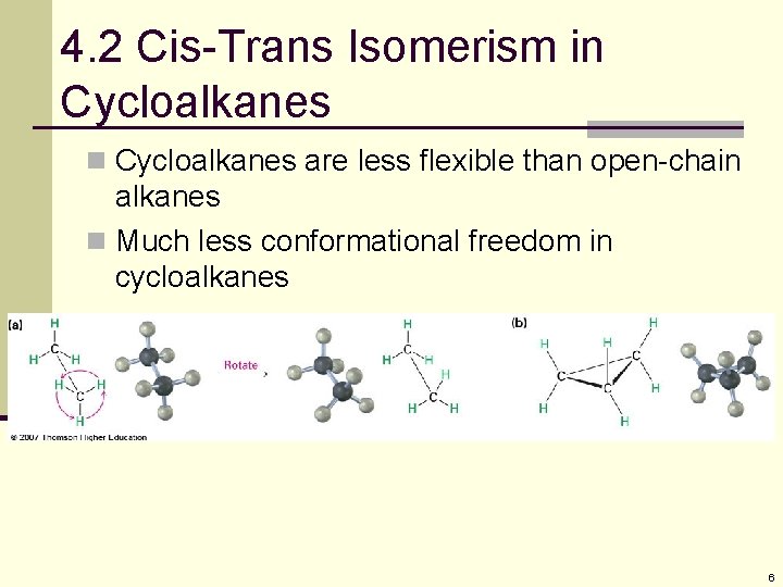 4. 2 Cis-Trans Isomerism in Cycloalkanes are less flexible than open-chain alkanes n Much