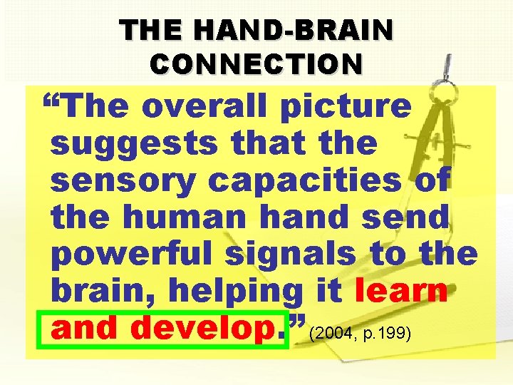 THE HAND-BRAIN CONNECTION “The overall picture suggests that the sensory capacities of the human
