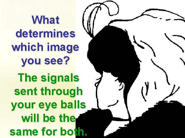 What determines which image you see? The signals sent through your eye balls will