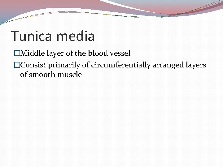 Tunica media �Middle layer of the blood vessel �Consist primarily of circumferentially arranged layers