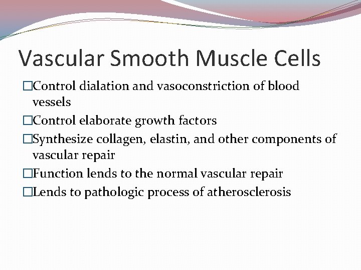 Vascular Smooth Muscle Cells �Control dialation and vasoconstriction of blood vessels �Control elaborate growth