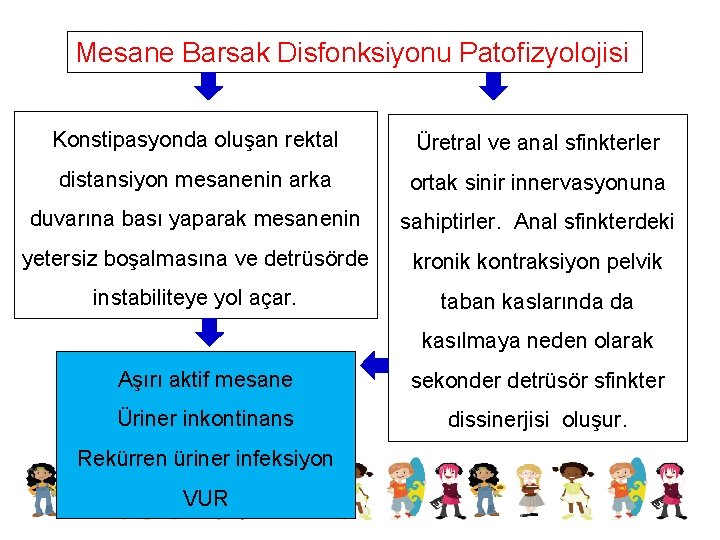 Mesane Barsak Disfonksiyonu Patofizyolojisi Konstipasyonda oluşan rektal Üretral ve anal sfinkterler distansiyon mesanenin arka