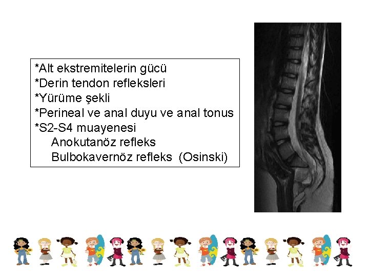 *Alt ekstremitelerin gücü *Derin tendon refleksleri *Yürüme şekli *Perineal ve anal duyu ve anal