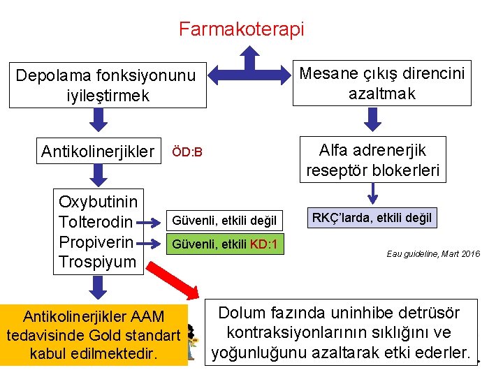 Farmakoterapi Mesane çıkış direncini azaltmak Depolama fonksiyonunu iyileştirmek Antikolinerjikler Oxybutinin Tolterodin Propiverin Trospiyum Alfa