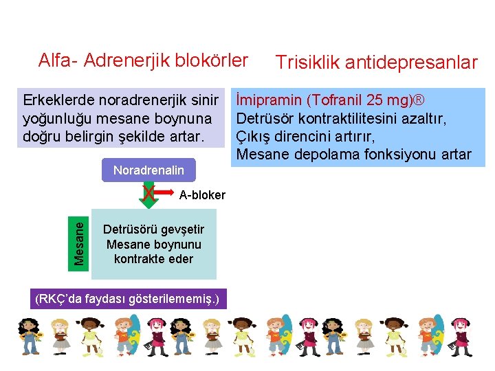 Alfa- Adrenerjik blokörler Erkeklerde noradrenerjik sinir yoğunluğu mesane boynuna doğru belirgin şekilde artar. Noradrenalin