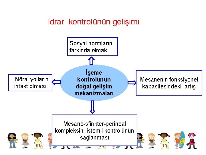 İdrar kontrolünün gelişimi Sosyal normların farkında olmak Nöral yolların intakt olması İşeme kontrolünün doğal