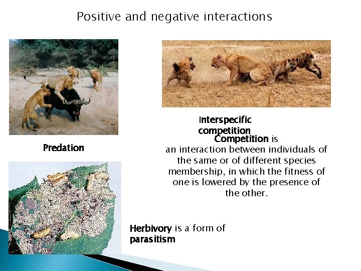 Positive and negative interactions Predation Interspecific competition Competition is an interaction between individuals of