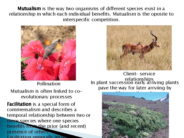 Mutualism is the way two organisms of different species exist in a relationship in