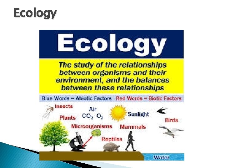 Ecology 