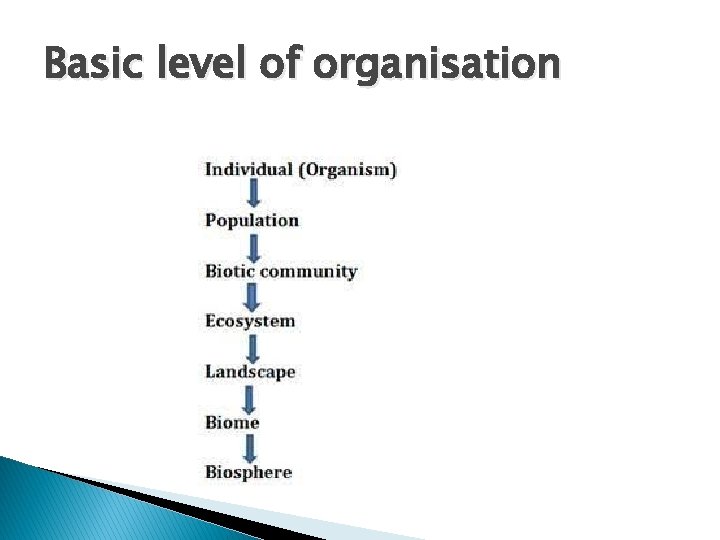 Basic level of organisation 