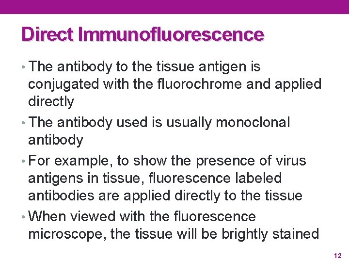 Direct Immunofluorescence • The antibody to the tissue antigen is conjugated with the fluorochrome