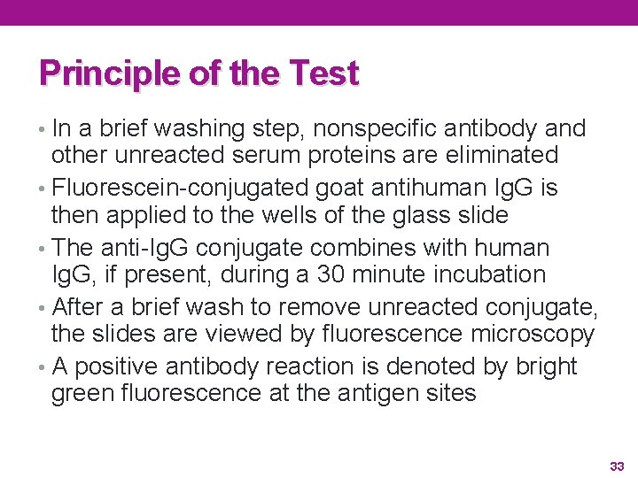 Principle of the Test • In a brief washing step, nonspecific antibody and other