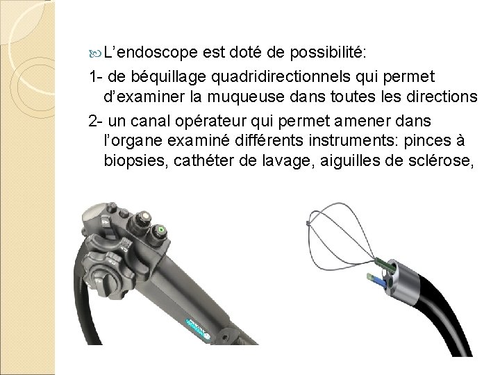  L’endoscope est doté de possibilité: 1 - de béquillage quadridirectionnels qui permet d’examiner
