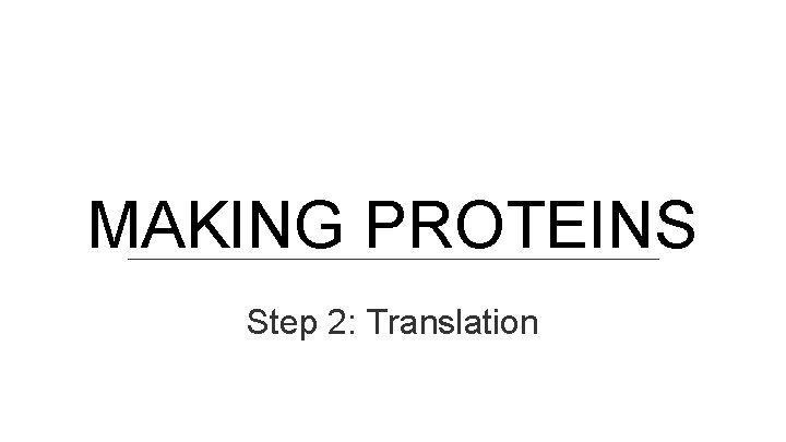MAKING PROTEINS Step 2: Translation 
