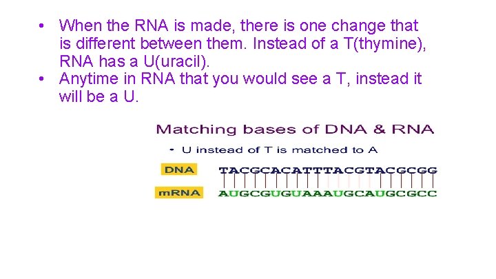  • When the RNA is made, there is one change that is different