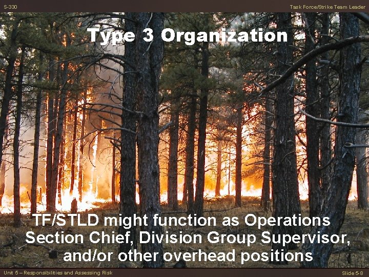 S-330 Task Force/Strike Team Leader Type 3 Organization TF/STLD might function as Operations Section