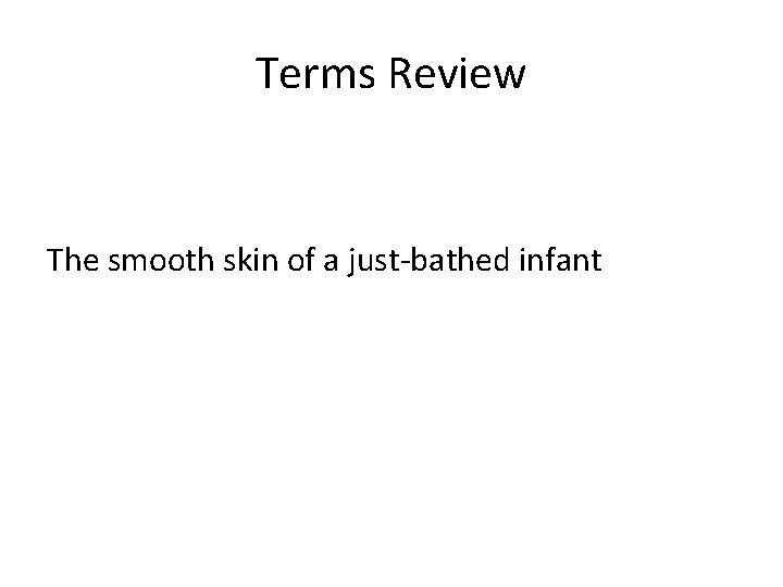 Terms Review The smooth skin of a just-bathed infant 