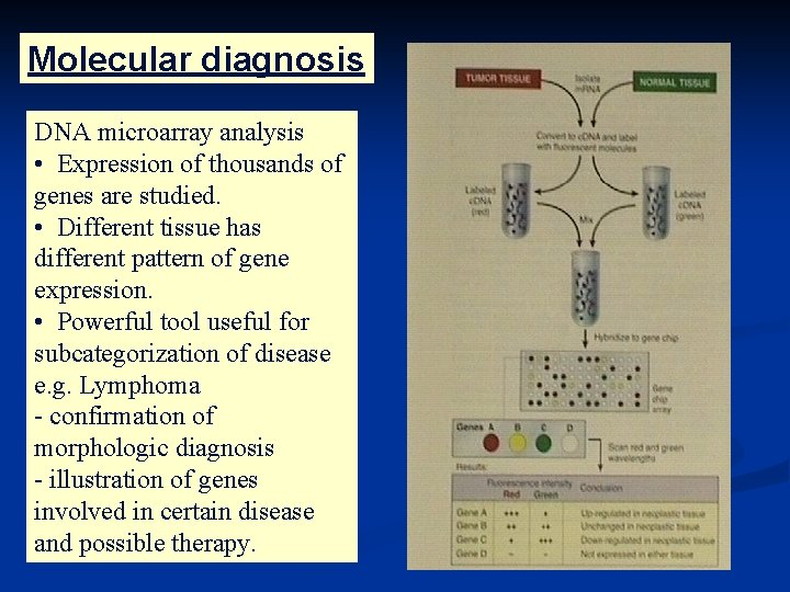 Molecular diagnosis DNA microarray analysis • Expression of thousands of genes are studied. •