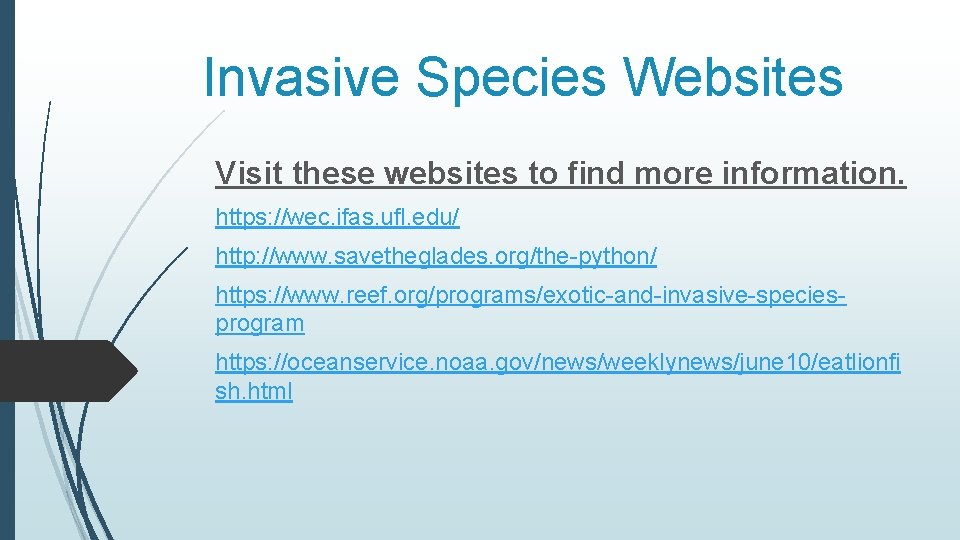 Invasive Species Websites Visit these websites to find more information. https: //wec. ifas. ufl.