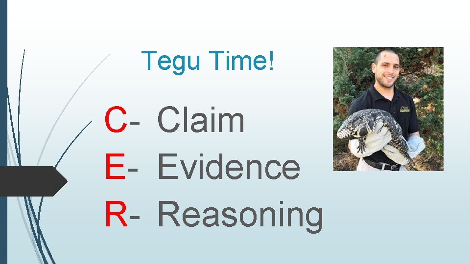 Tegu Time! C- Claim E- Evidence R- Reasoning 
