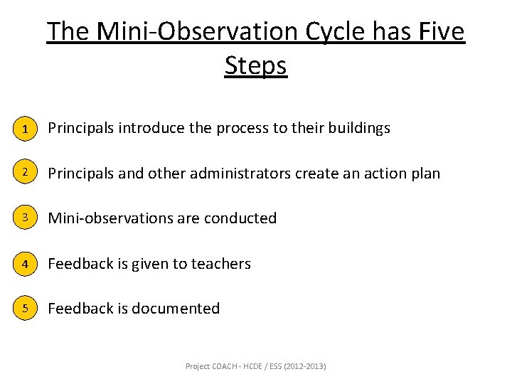 The Mini-Observation Cycle has Five Steps 11. Principals introduce the process to their buildings