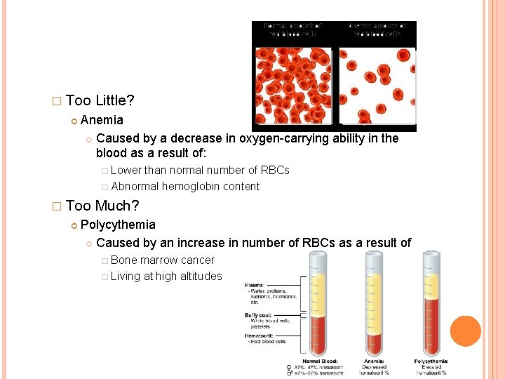 � Too Little? Anemia Caused by a decrease in oxygen-carrying ability in the blood