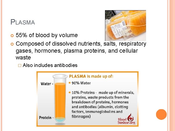 PLASMA 55% of blood by volume Composed of dissolved nutrients, salts, respiratory gases, hormones,