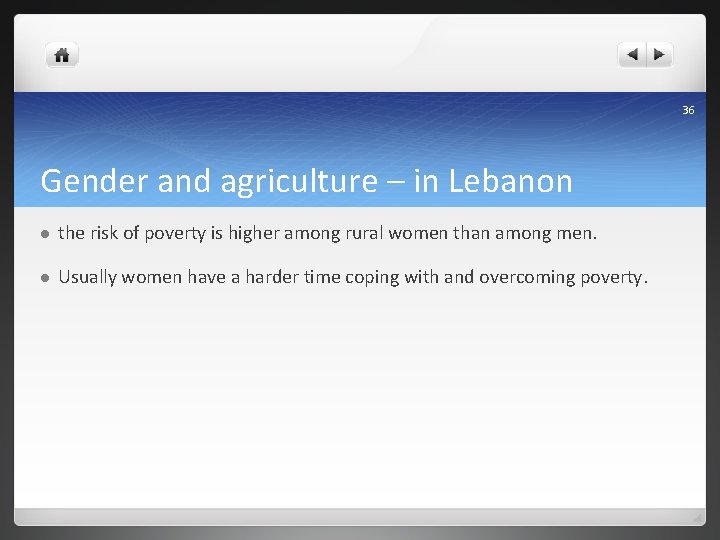 36 Gender and agriculture – in Lebanon l the risk of poverty is higher