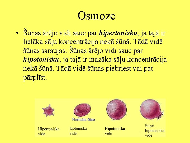 Osmoze • Šūnas ārējo vidi sauc par hipertonisku, ja tajā ir lielāka sāļu koncentrācija