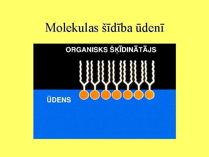 Molekulas šīdība ūdenī 