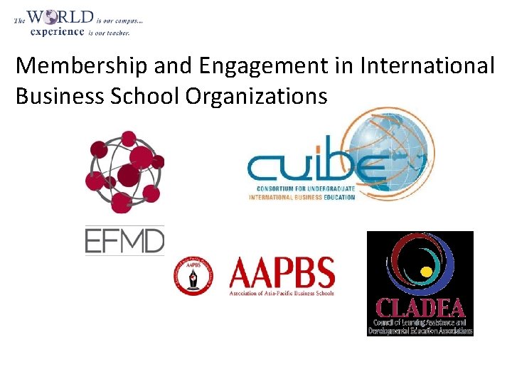 Membership and Engagement in International Business School Organizations 