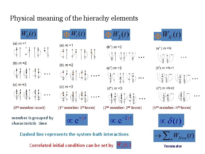 Physical meaning of the hierachy elements (0 th member: exact) (1 st member: 1