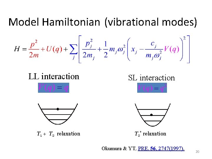 Model Hamiltonian (vibrational modes) LL interaction T 1 + T 2 relaxation SL interaction