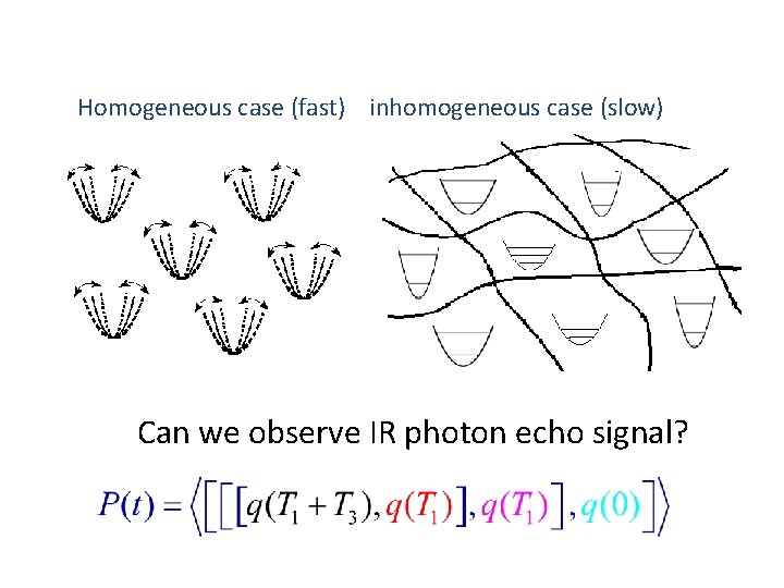 Homogeneous case (fast) inhomogeneous case (slow) Can we observe IR photon echo signal? 