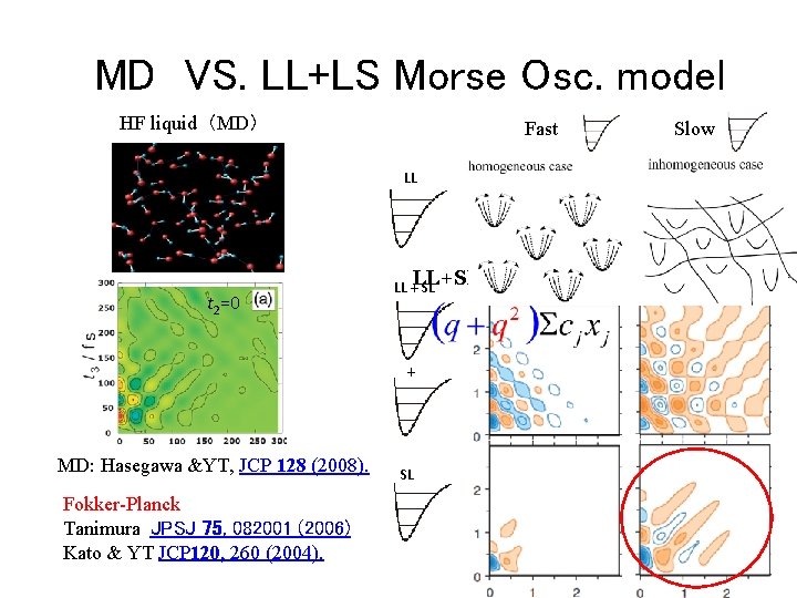 MD VS. LL+LS Morse Osc. model HF liquid（MD） Fast LL t 2=0 LL +LL+SL