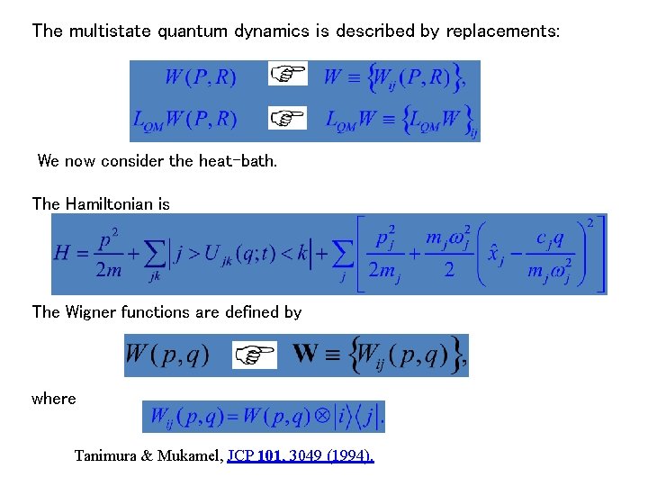 The multistate quantum dynamics is described by replacements: We now consider the heat-bath. The