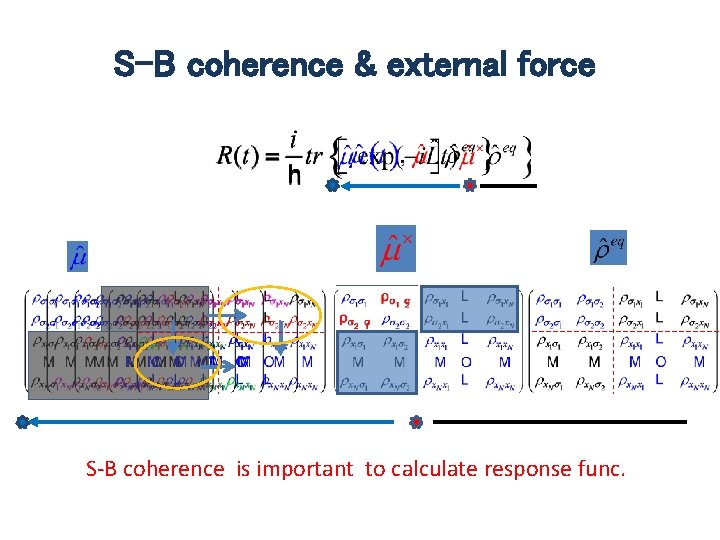 S-B coherence & external force S-B coherence is important to calculate response func. 