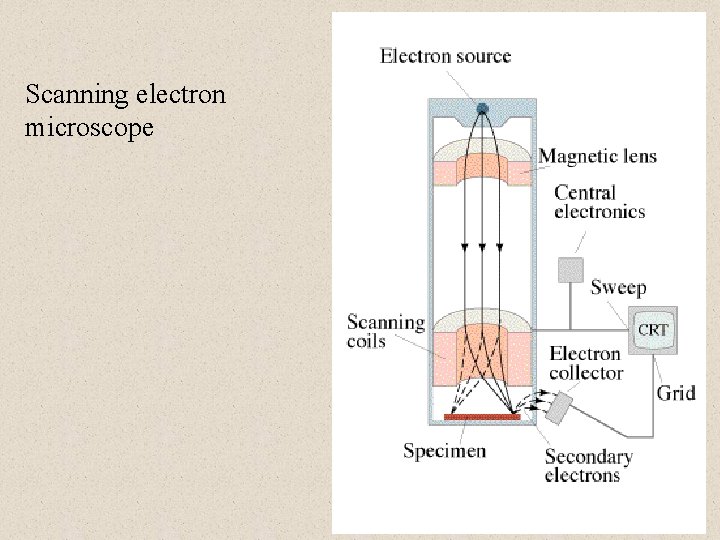 Scanning electron microscope 