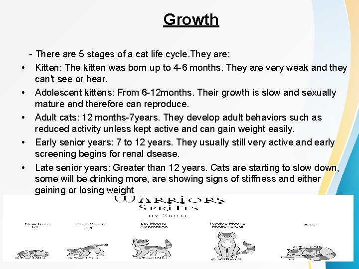Growth • • • - There are 5 stages of a cat life cycle.