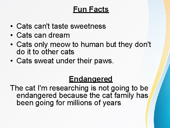 Fun Facts • Cats can't taste sweetness • Cats can dream • Cats only
