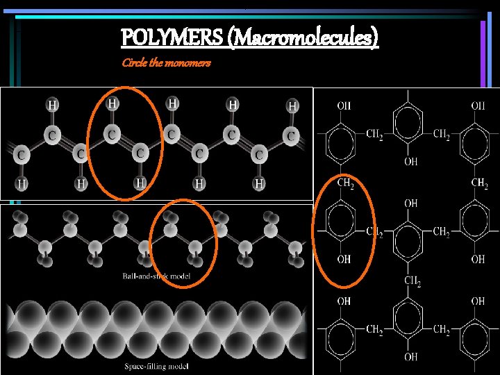 POLYMERS (Macromolecules) Circle the monomers 
