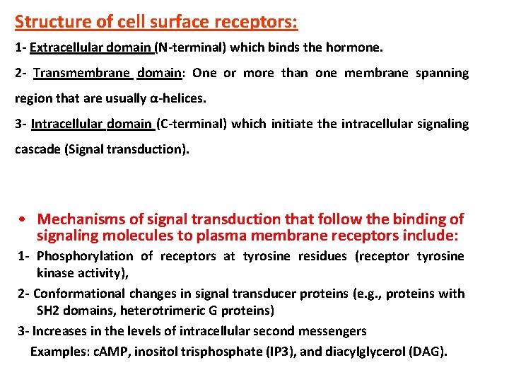 Structure of cell surface receptors: 1 - Extracellular domain (N-terminal) which binds the hormone.