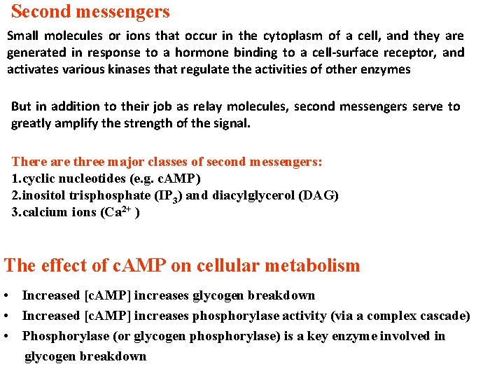 Second messengers Small molecules or ions that occur in the cytoplasm of a cell,