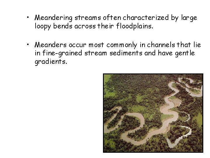  • Meandering streams often characterized by large loopy bends across their floodplains. •