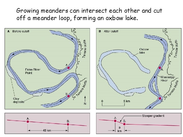 Growing meanders can intersect each other and cut off a meander loop, forming an