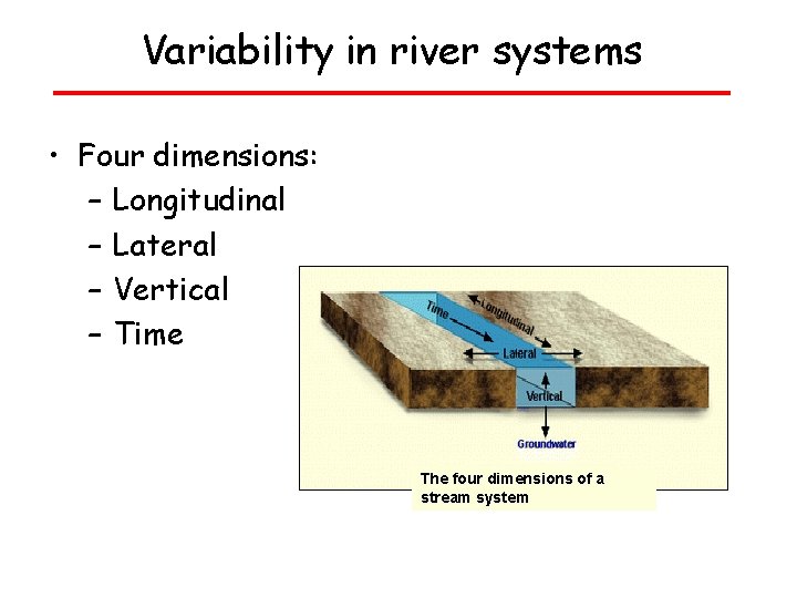 Variability in river systems • Four dimensions: – Longitudinal – Lateral – Vertical –