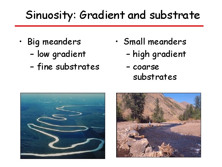 Sinuosity: Gradient and substrate • Big meanders – low gradient – fine substrates •