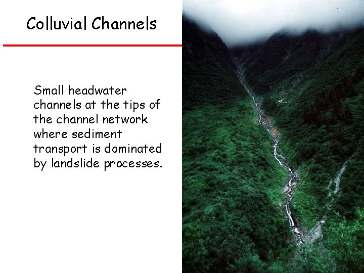 Colluvial Channels Small headwater channels at the tips of the channel network where sediment